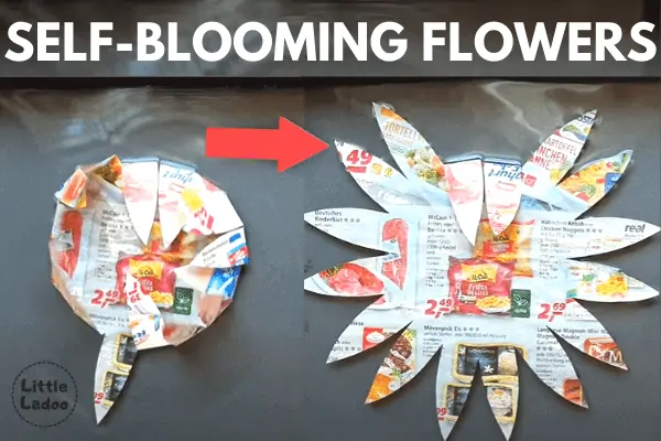 magic paper flower blooming