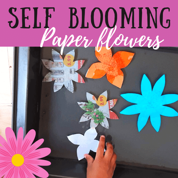 self blooming paper flowers