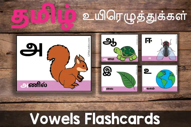 Tamil Vowels flashcards