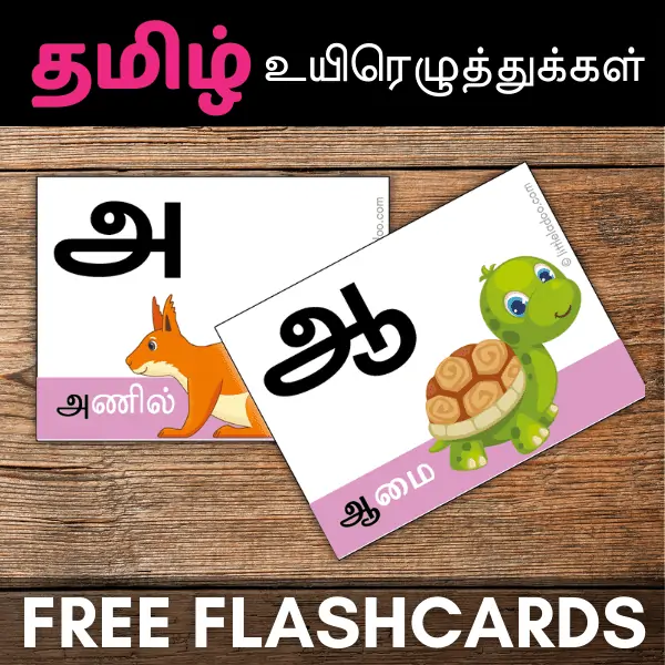 tamil vowels flashcards uyir eluthukal flashcards with pictures