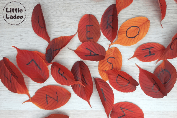 fall leaf alphabets