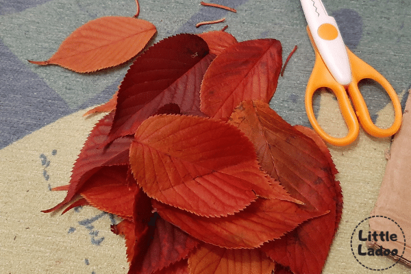 fall leaf craft preparation to make squirrel art