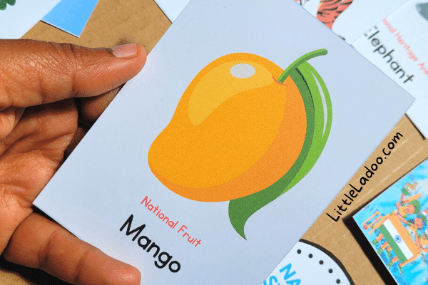 mango flashcard national fruit of india