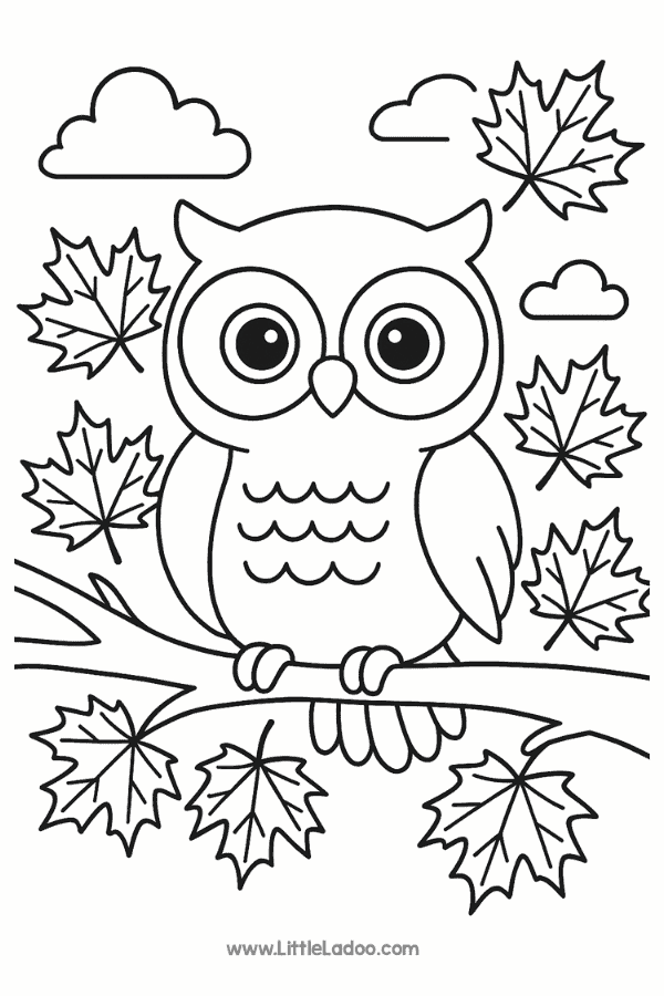 Owl Free printable colouring Page