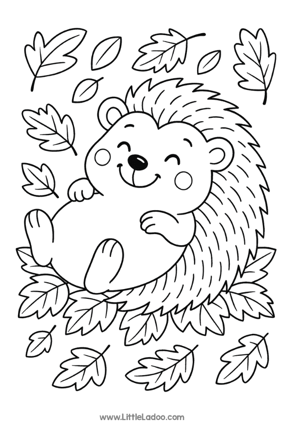 Hedgehog Free Colouring Page