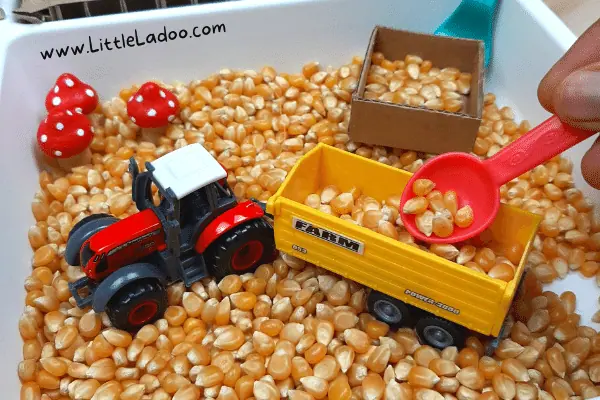 Corn kernels, tractor for fall sensory bin