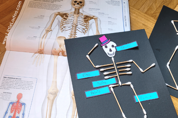 skeletal system QTip Skeleton craft
