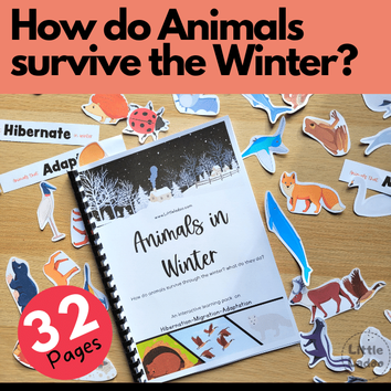 Animals in Winter Learning Pack - Little Ladoo