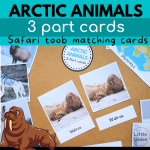 Arctic Animals 3 Part Cards Printable