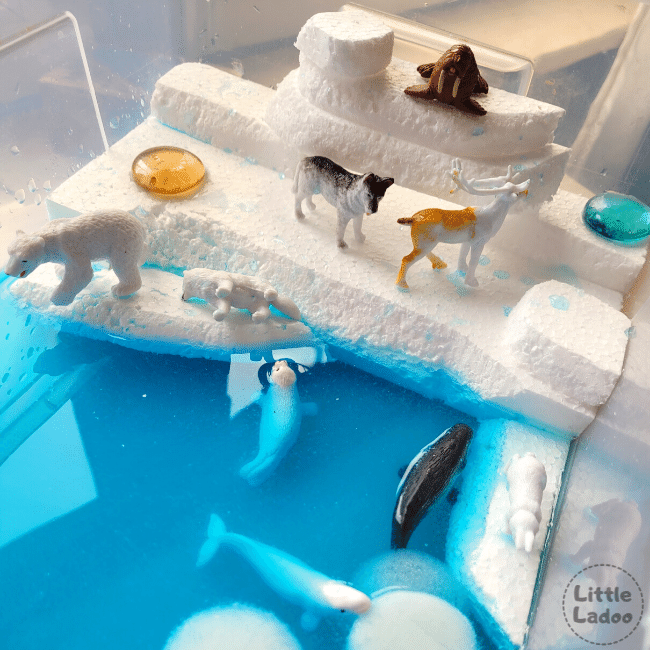 Arctic animals sensory bin