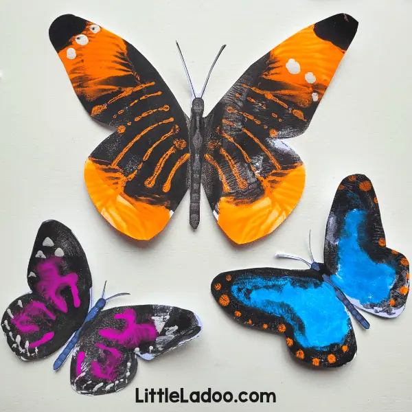 Butterfly Template free