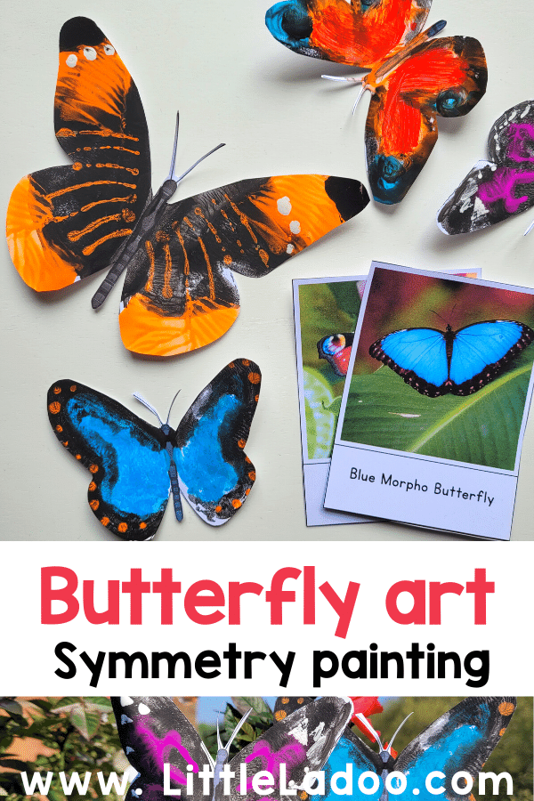 Butterfly Symmetry Painting