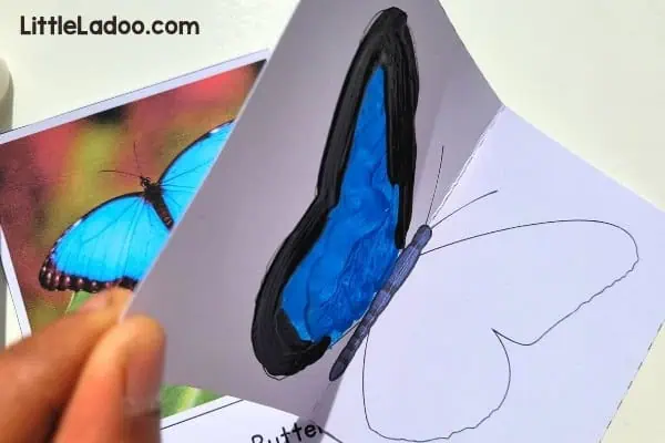 fold the butterfly Template