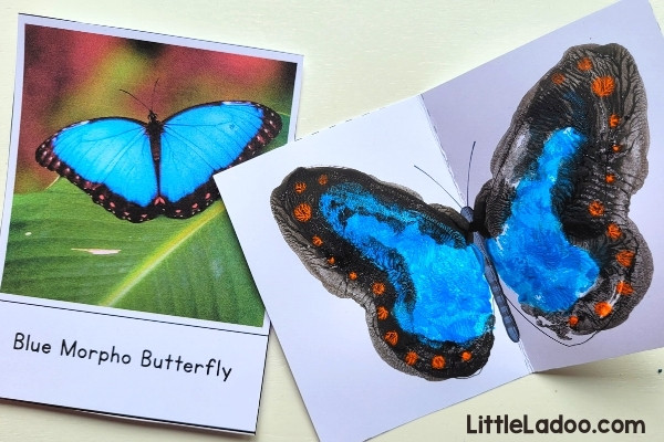 Blue morpho butterfly painting