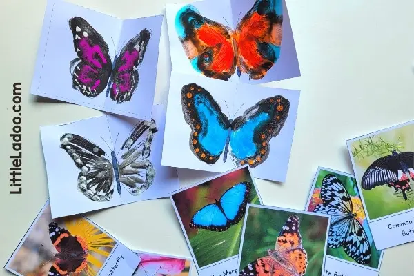 Butterfly types art for kids