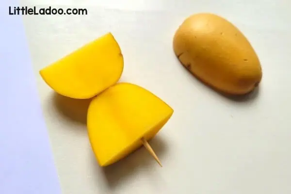How to make a potato stamp for Butterfly art
