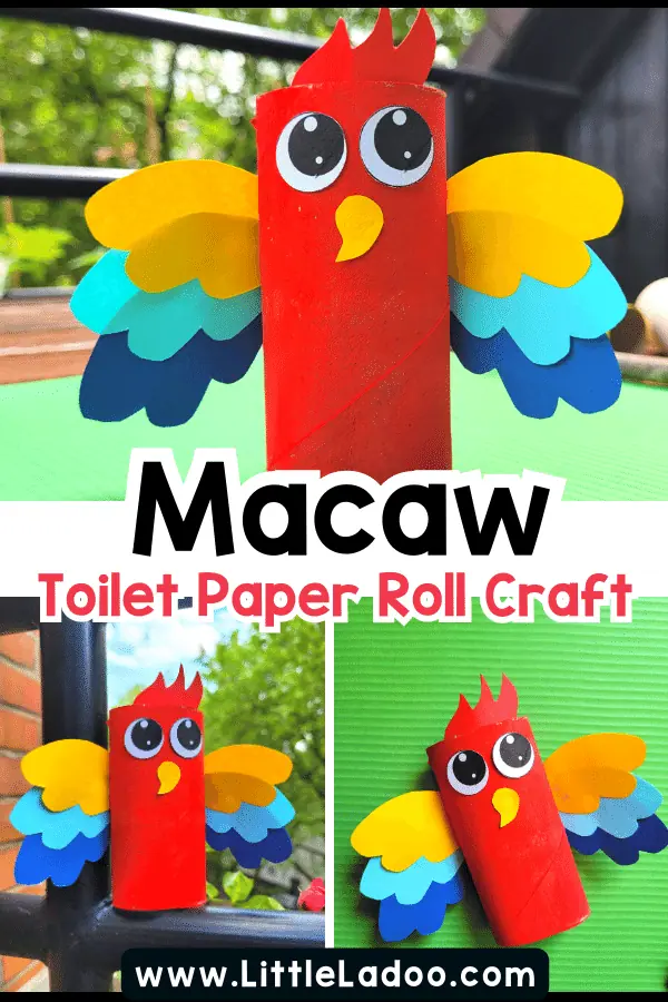 Macaw Toilet Paper roll crafts
