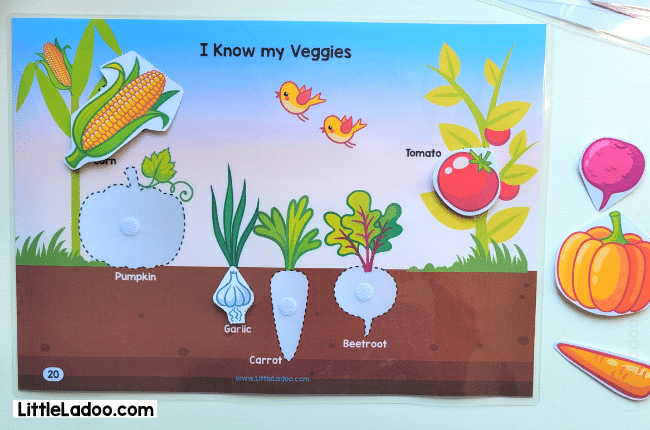 Veggies matching busy book game