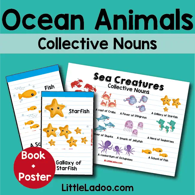 Ocean Animals Collective Nouns Printable - Little Ladoo Ocean Animals Collective Nouns Printable - Little Ladoo