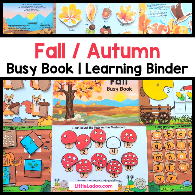 Fall busy book Printable