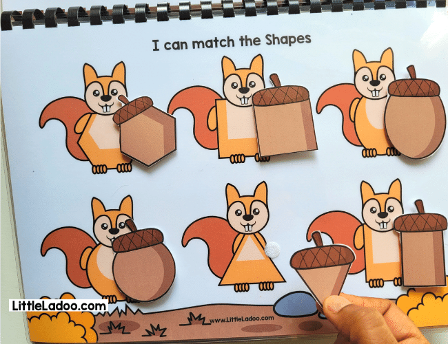 Squirrel and Acons shape matching