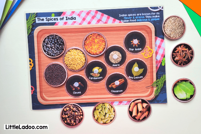 Spices of India - Montessori matching Printable