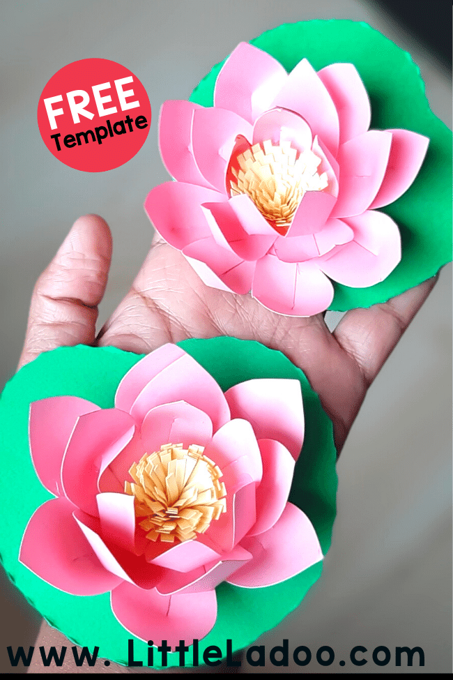 Paper Lotus Flowers craft