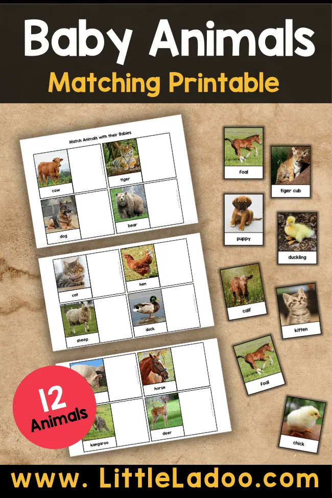 Baby ANimals matching Printable