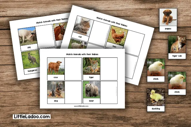 Animals and their Young ones matching printable