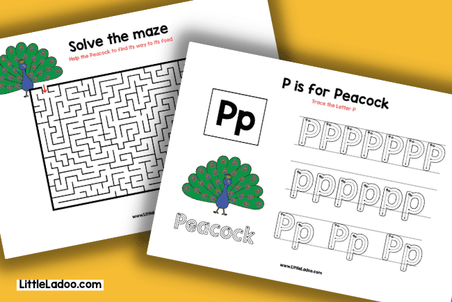 Letter P worksheet Peacock maze worksheet