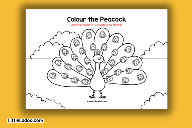 Peacock colouring page free PDF