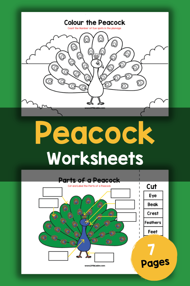 Peacock worksheets free printable