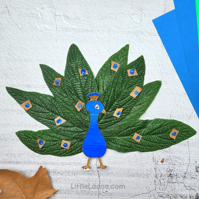 Peacock leaf craft