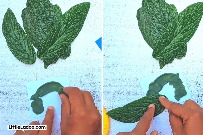 Bird craft with leaf