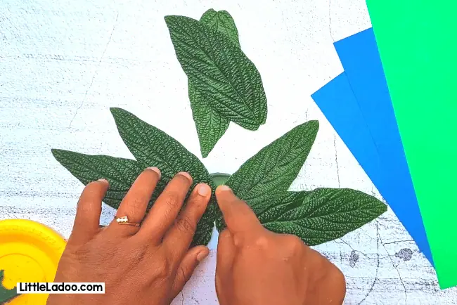 Making the peacock tail with leaves