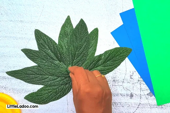 Making the peacock tail with leaves