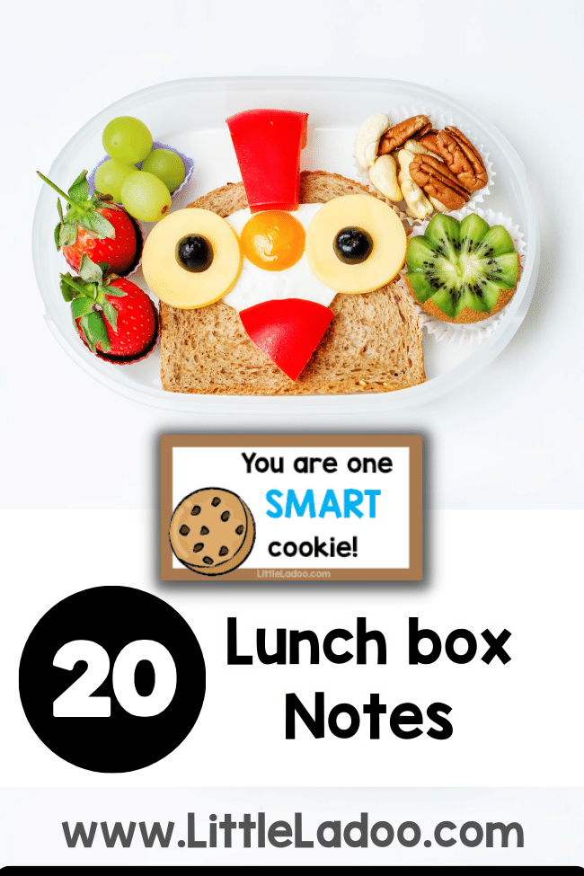 Lunch box notes PDF
