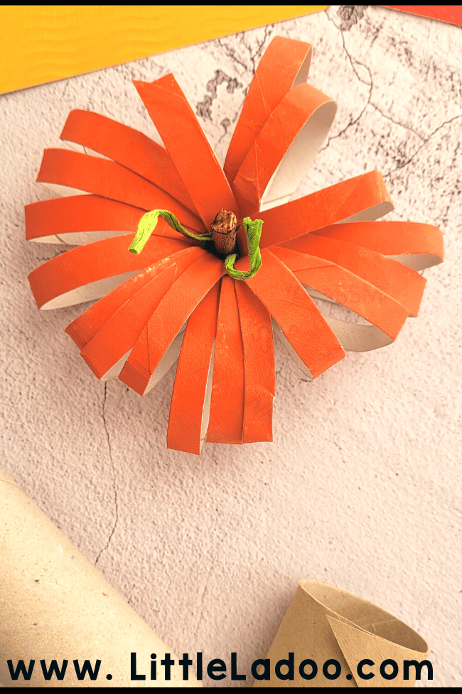 Orange Toilet Paper Roll Craft