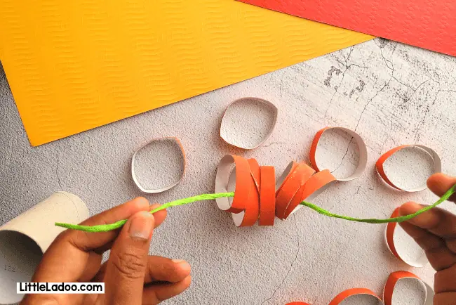 Toilet paper Roll RIngs