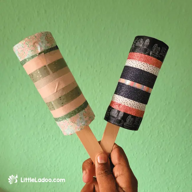 Toilet Paper Roll Party Shaker Craft