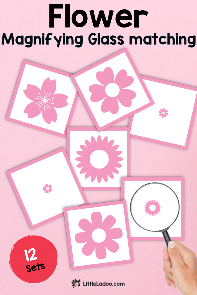 Spring Flower Magnifying Glass Matching Cards