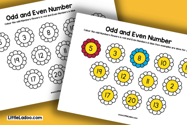 odd and even worksheets