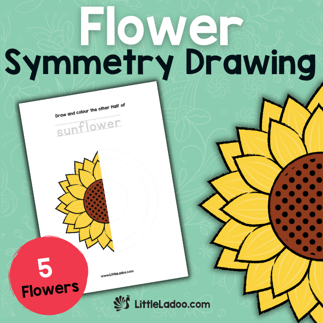 Flower Symmetry Drawing prompts