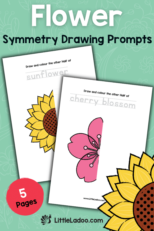 Flower Symmetry Drawing Printable