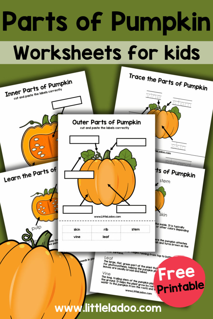 Parts of a Pumpkin Worksheets {Free Printable} Parts of a Pumpkin Worksheets {Free Printable}
