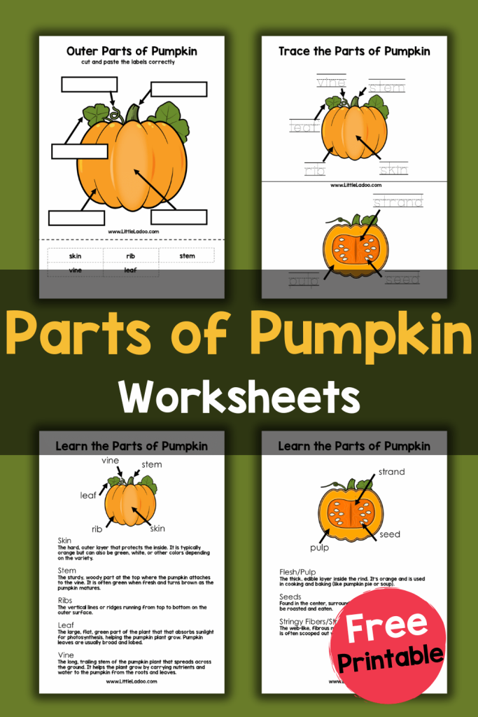 Parts of a Pumpkin Worksheets {Free Printable} Parts of a Pumpkin Worksheets {Free Printable}