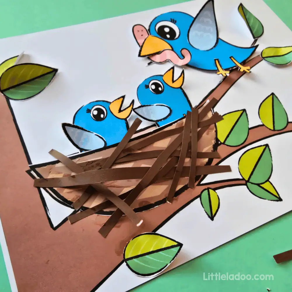 life cycle of bird craft